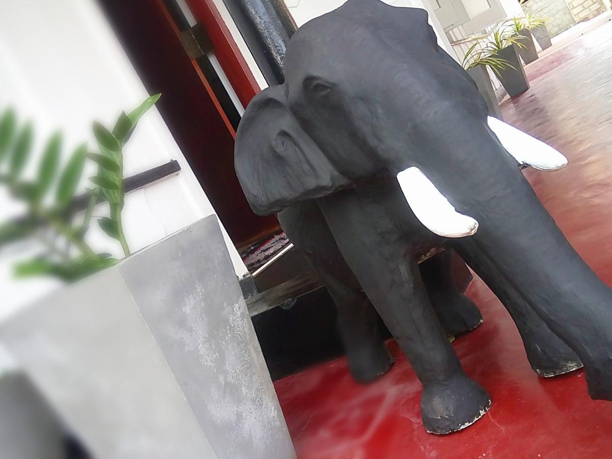 Gloriya Mathews Hotel Negombo Bagian luar foto